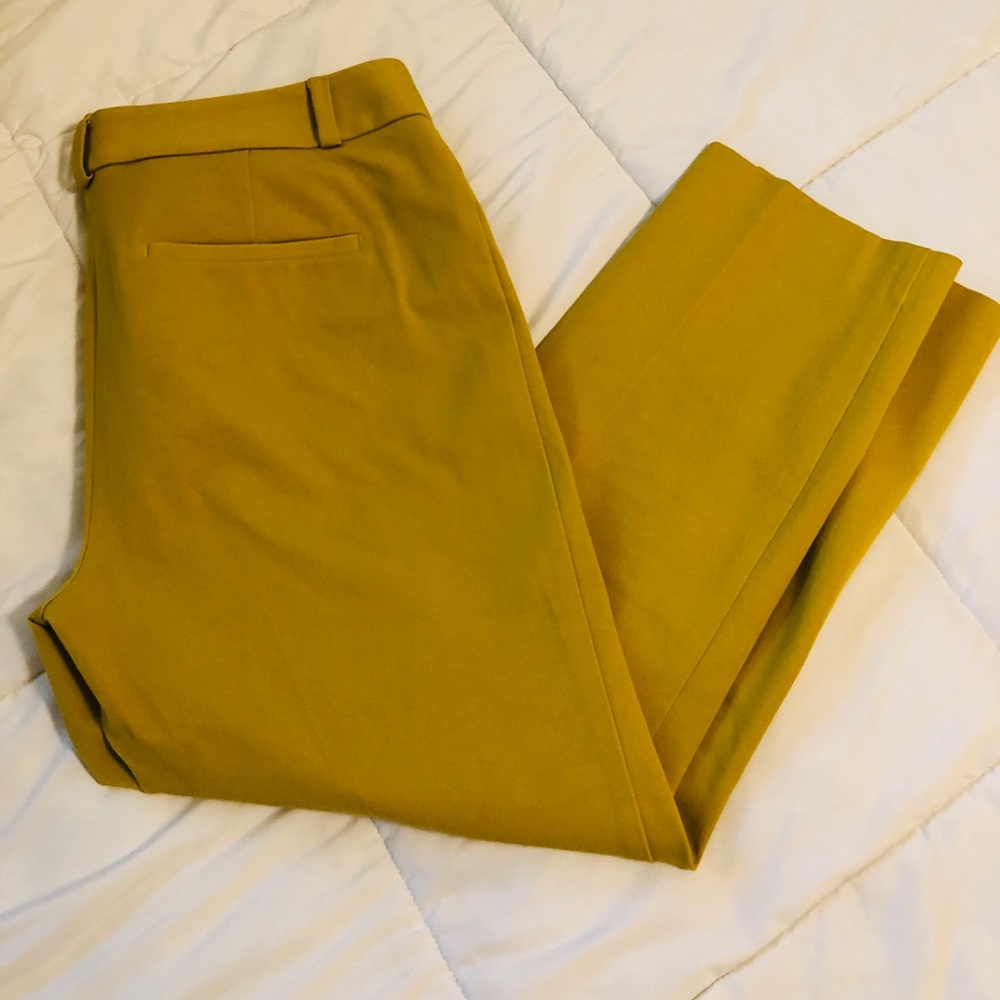 Loft ankle pants